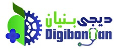 معرفی شرکت دیجی بنیان